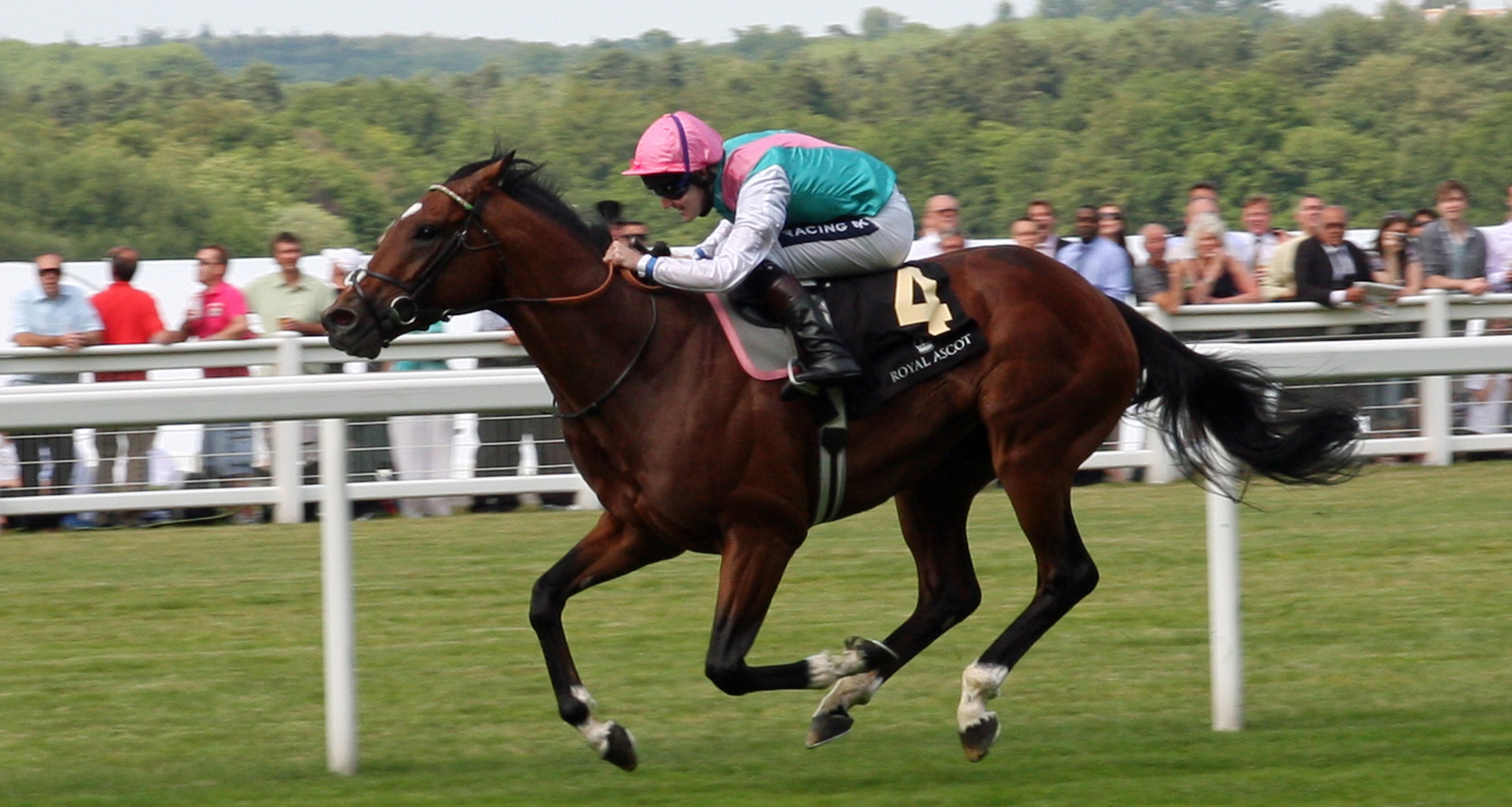 Dostihy_Británia_Royal Ascot